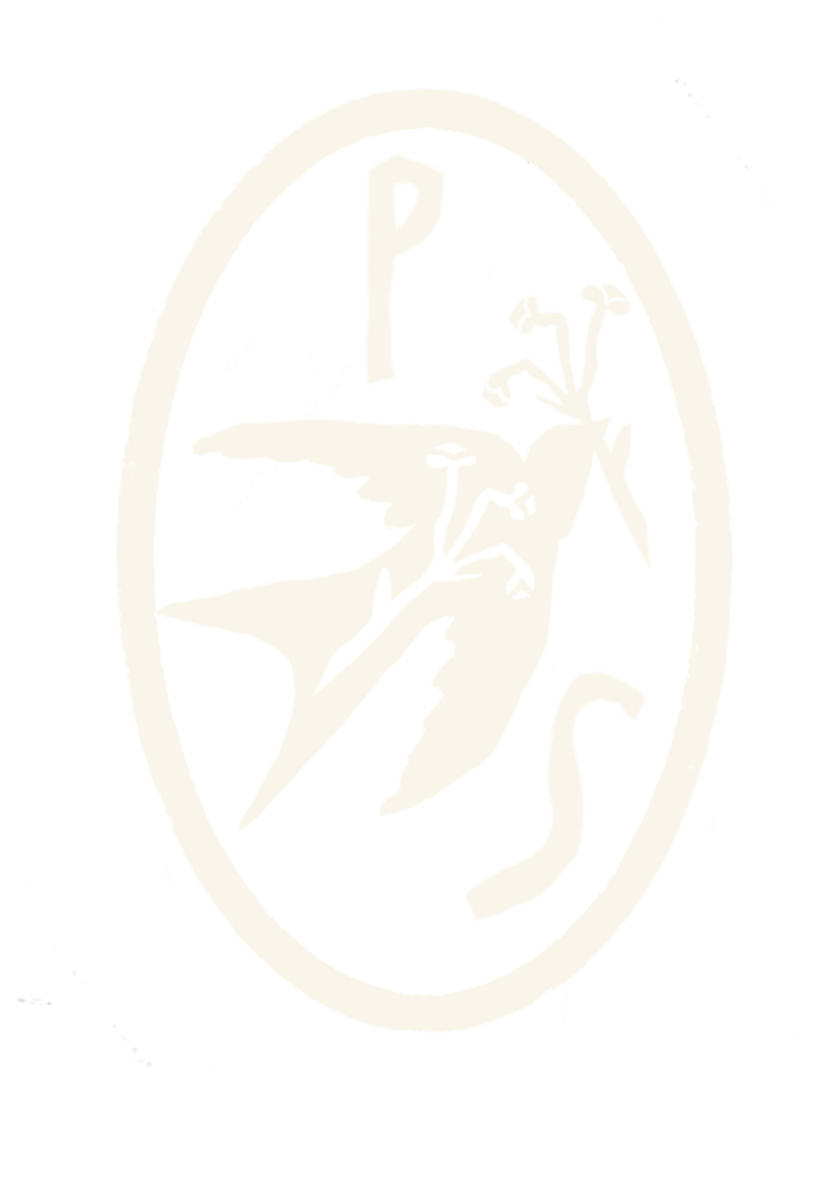 Papavasile Studio